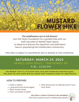 Mustard Hike