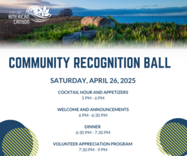community ball