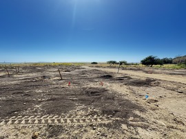 Wetlands Edge Project