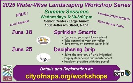 June Marketplace City of Napa