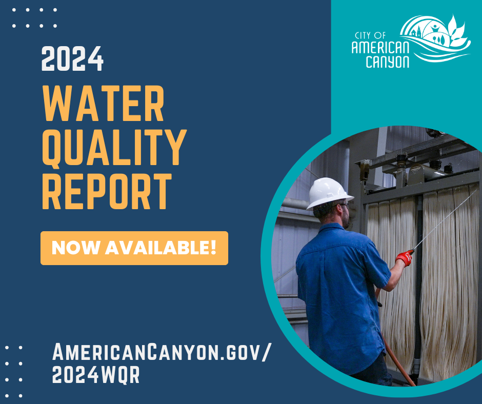 water quality report