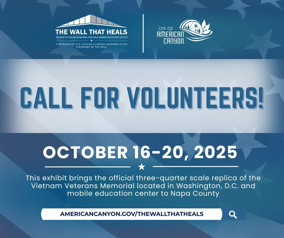 TWTH Volunteer Flyer