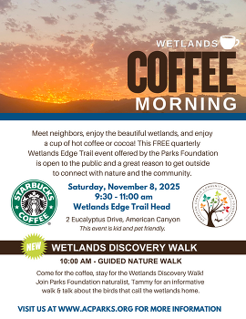 Wetlands Coffee Morning Nov. 2025