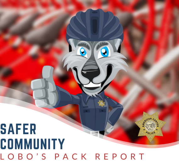 Lobo's Pack Report Header