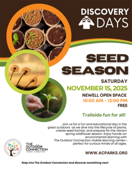 Disdcover Days  11.2025