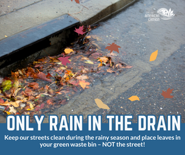 only rain in the drain