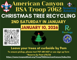 Boy Scout Tree Pickup 2026