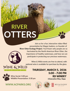 Wine & Wild Feb 2026