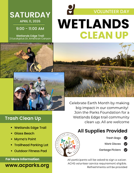Volunteer Day 