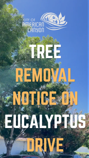 Tree Removal Notice