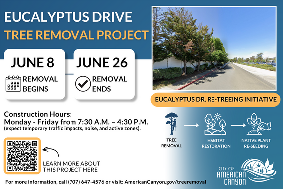 Tree Removal Project June 2026 