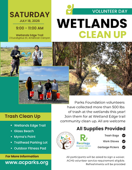 Wetlands Clean Up Day
