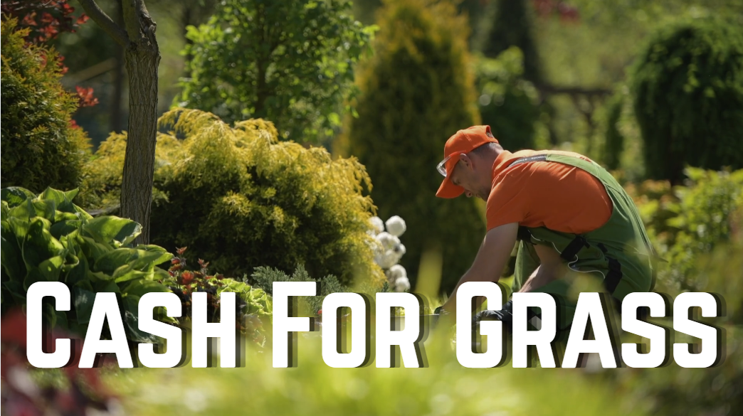 Cash for Grass