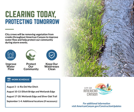 Creek Cleaning