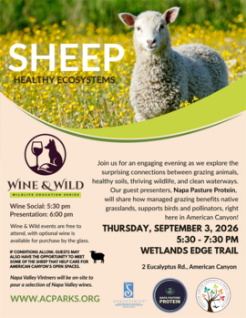 Wine & Wild Sheep