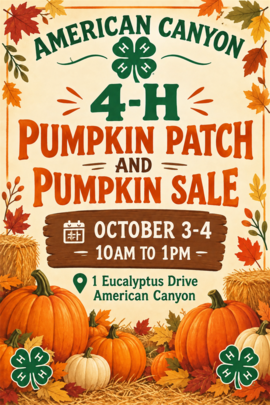 Pumpkin Patch & Sale (4-H)