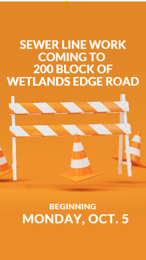 Sewer Line Work Wetlands 