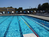 pool with a couple swimmers