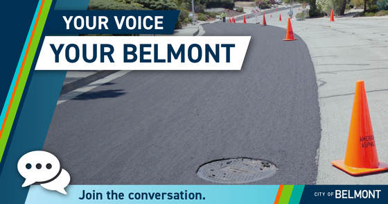 Your Voice, Your Belmont Survey