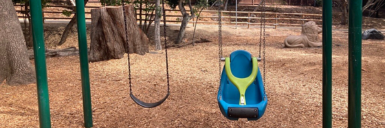 New ADA Swings