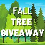 fall tree giveaway