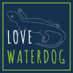 Love Waterdog