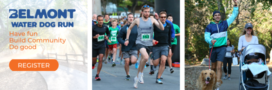 Belmont Waterdog Run