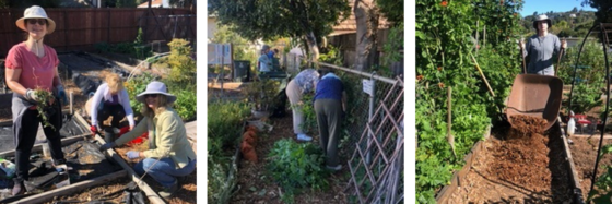 Community Garden