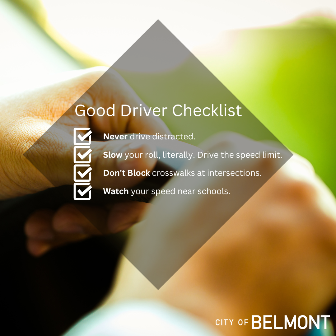Good Driver checklist image