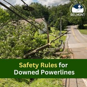 Downed Lines Safety Tips