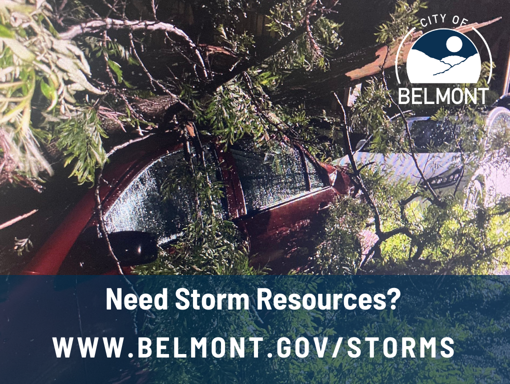 Storm Resources