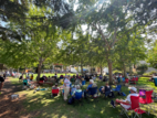 Volunteer at Summer Concert Series