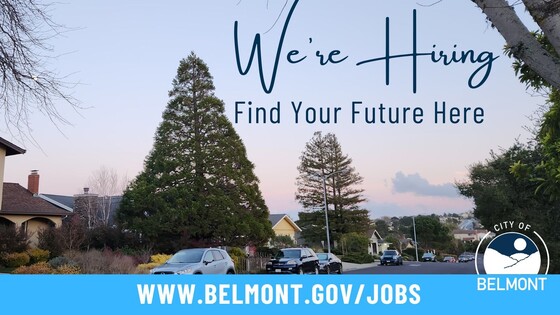 Deputy Planning Director