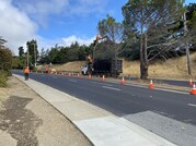 Ralston Tree Removal