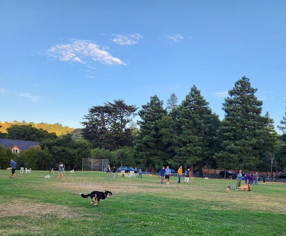 Barrett Dog Park