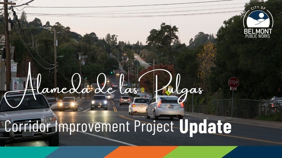 ADLP Improvement Project graphic