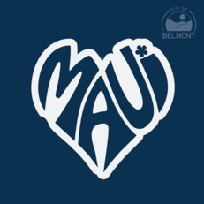 Support for Maui graphic