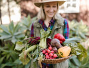 Produce Swap promoting Library event on Sept 7