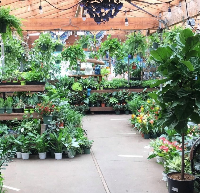 Ladera Garden and Gifts