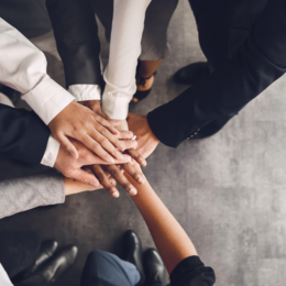 Employment Opportunities