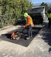 Photo of staff repairing road