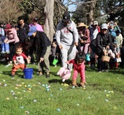 A group of people searching for eggs at the egg hunt. 