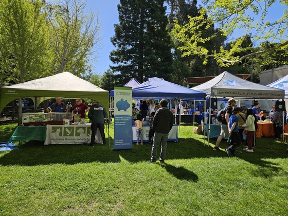Booths at the Belmont Earth Day Event
