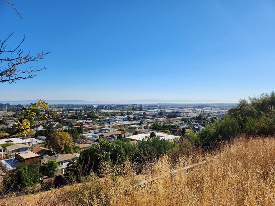 View of the city of Belmont