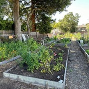 Belmont Blooms Gardening Event