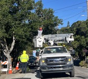 Crews trimming trees 