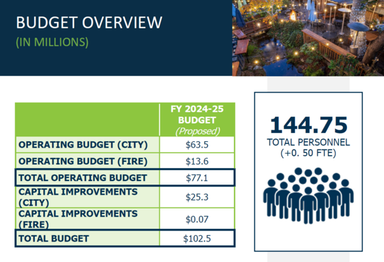 Budget overview (in millions)