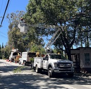 Public works and parks crews tree trimming