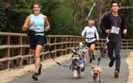 Runners and dogs at waterdog run