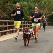 Waterdog Run 2024 Registration